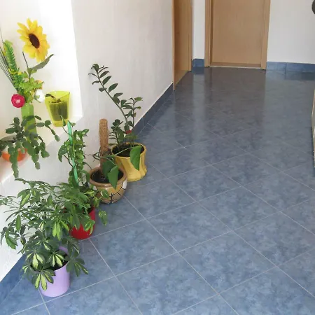 Lela Apartment
